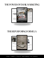 Digital Profit Pack (PLR + MRR)